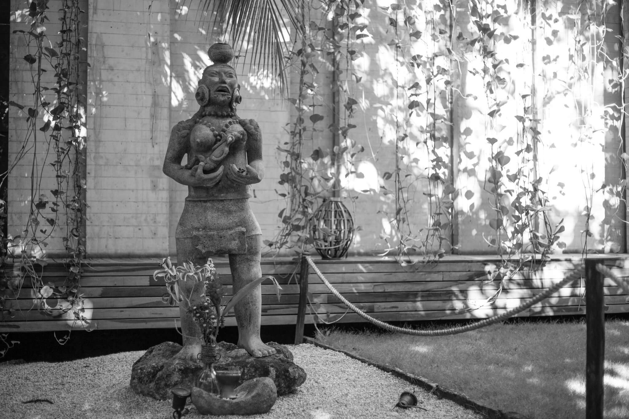 News - Jennifer Steele